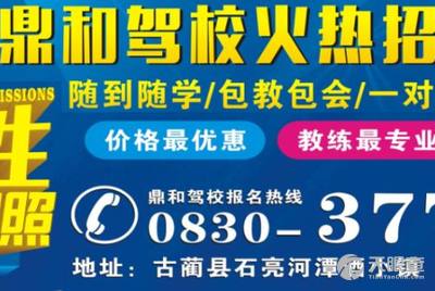 淄川司機招聘信息詳解，應(yīng)聘指南與步驟全解析