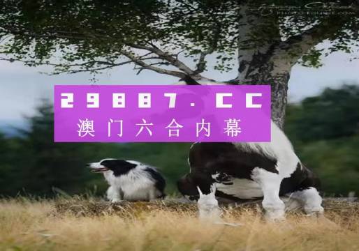 辦公設備租賃服務 第219頁