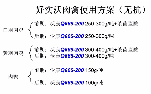 ＂7777788888精準跑狗圖＂的：高效計劃實施_高清晰度版2.78