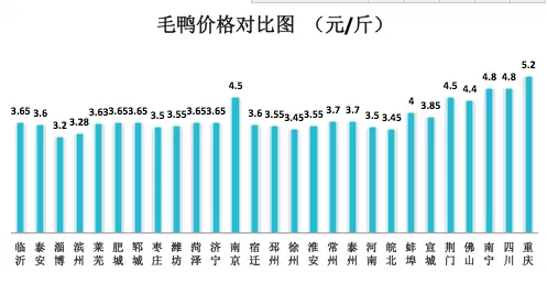 鴨毛行情深度解析，全面把握市場(chǎng)動(dòng)態(tài)與趨勢(shì)的指南