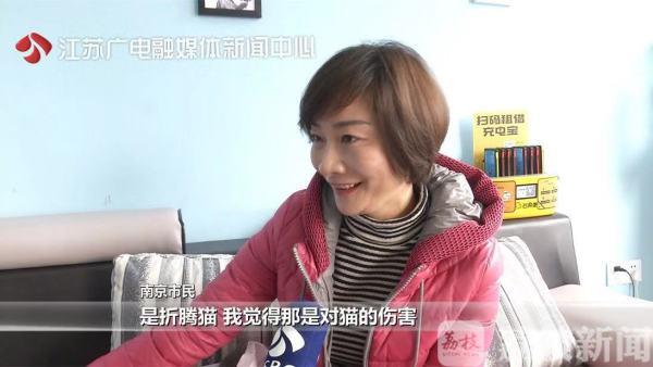 探索小巷中的神秘貓咪大賽，參賽指南與攻略