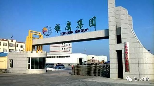雛鷹農(nóng)牧最新動(dòng)態(tài)，變革中的力量與自信成就感的崛起