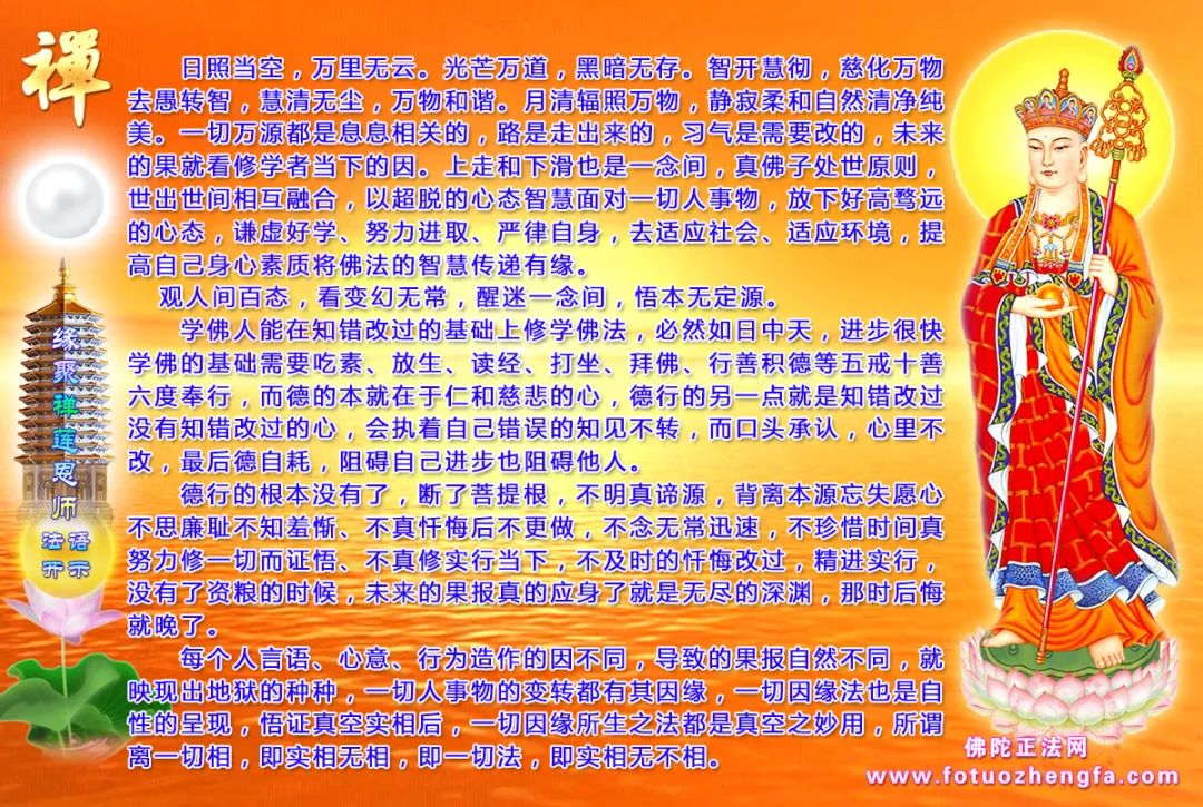 最新佛法開示揭秘，小巷深處的禪意寶藏探尋