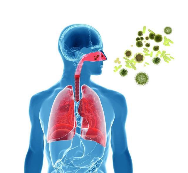 新型病毒主要癥狀探究，探索病毒影響的主要表現(xiàn)