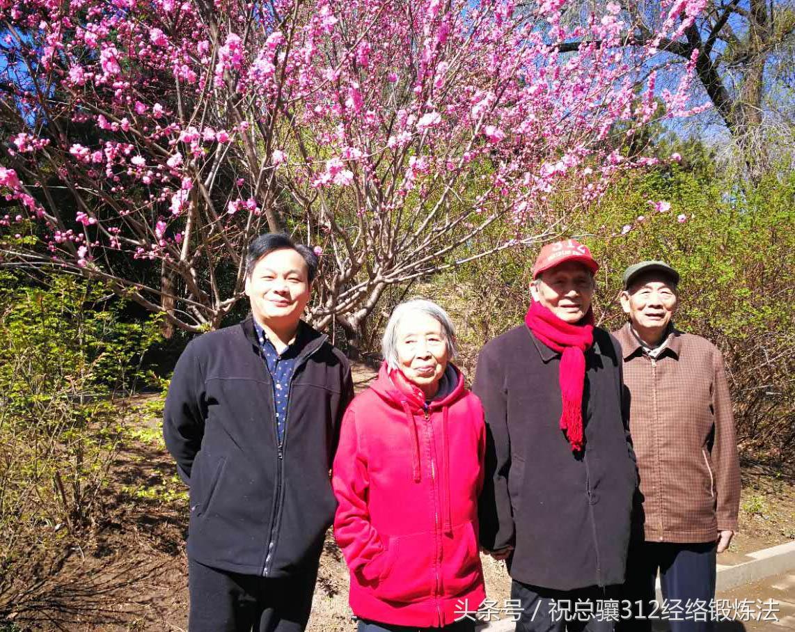 ?？傮J最新資訊揭秘，城市中的溫情日常