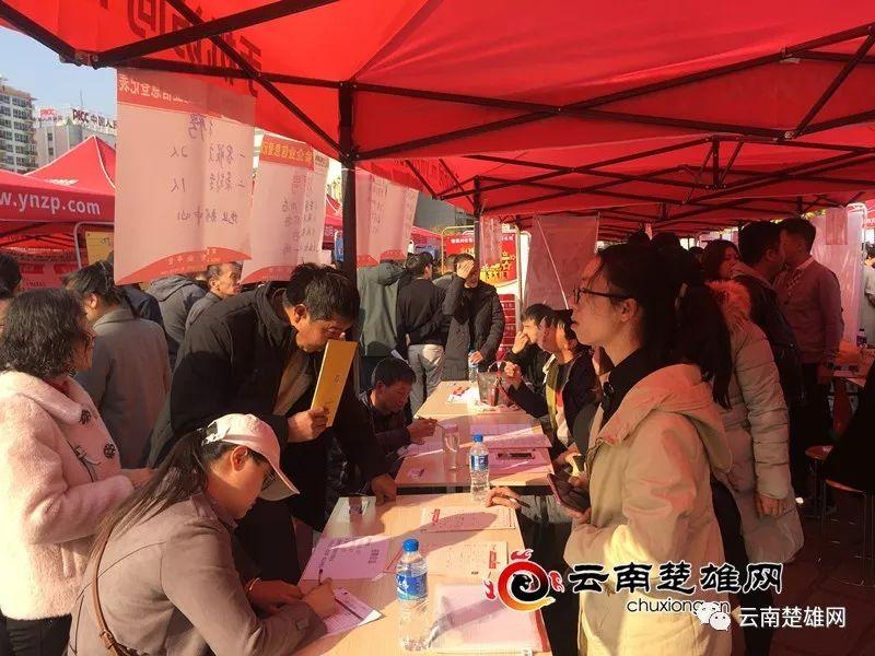 東鄉(xiāng)縣最新招聘資訊，職業(yè)發(fā)展的理想選擇地，尋找人才與機(jī)遇的交匯點(diǎn)
