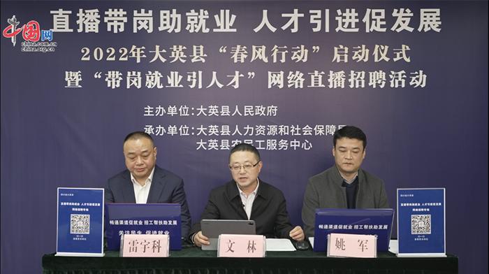 大英縣職位招聘探秘，小巷寶藏與特色小店的邂逅之旅