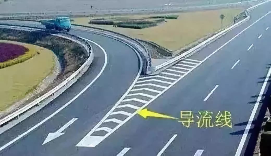 成金青快速路最新動態(tài)，日常趣事與情感紐帶揭秘