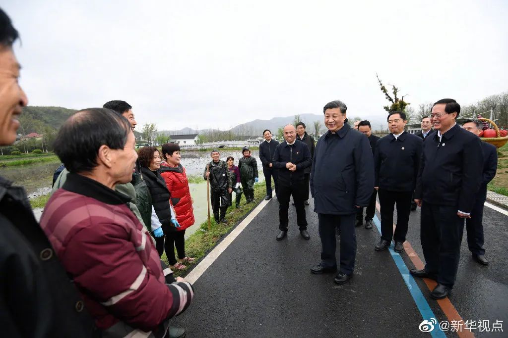 至2025年，馬中林最新動態(tài)與未來發(fā)展趨勢解析