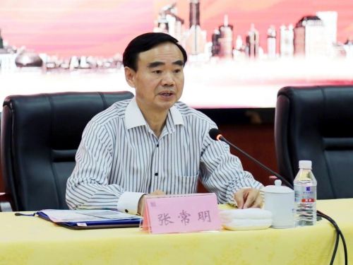 揭秘張常明最新消息，小巷中的隱藏瑰寶