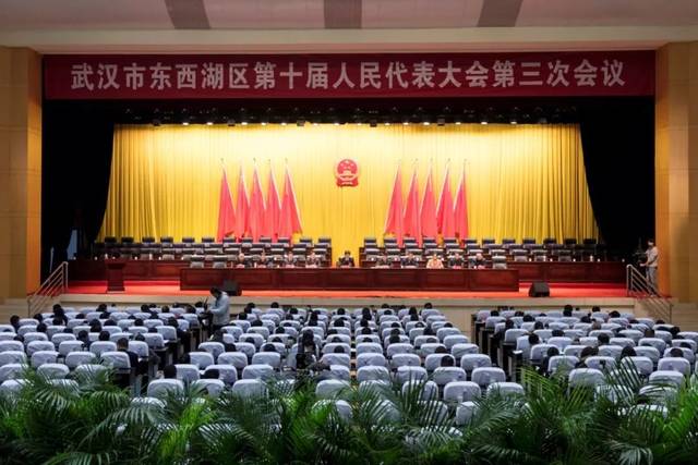東西湖區(qū)最新任免，人事變動(dòng)的觀點(diǎn)闡述與解析