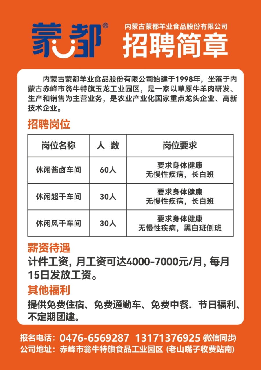 萊蕪金點(diǎn)子最新招聘信息港，科技驅(qū)動(dòng)職業(yè)夢(mèng)想，崗位觸手可及