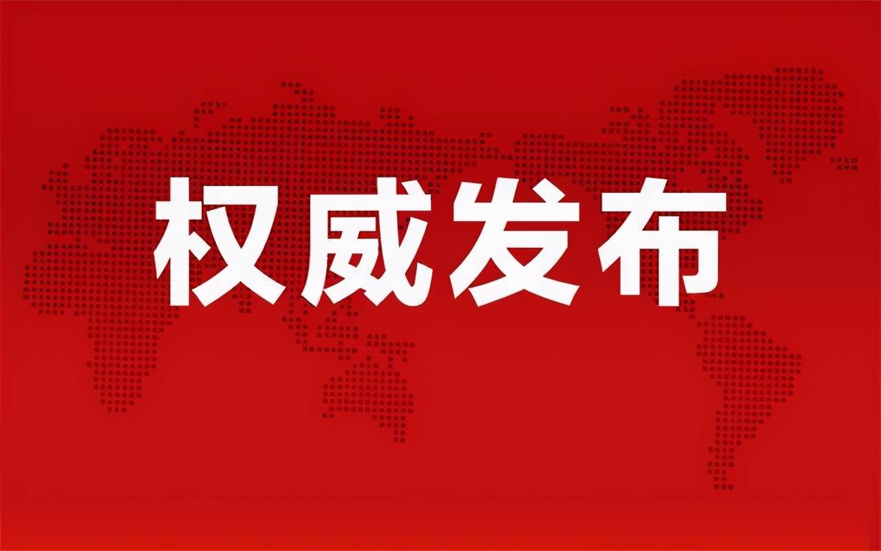 準(zhǔn)油股份秦勇最新動態(tài)揭秘，股市之外的小日常趣事揭秘