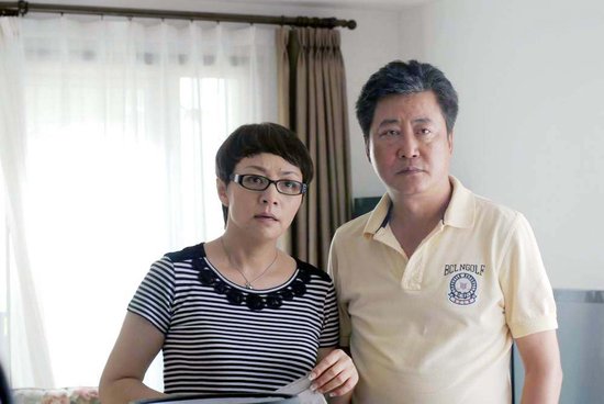 趙寶剛最新電視劇深度解析與探討，新劇探討與探討