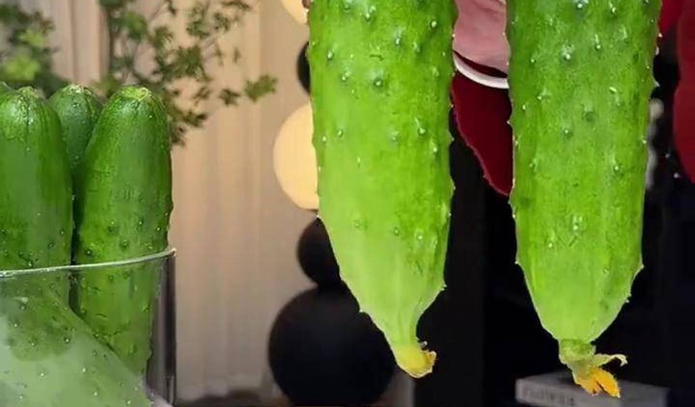 黃瓜視頻下載最新版，時代背景下短視頻巨頭的迅速崛起