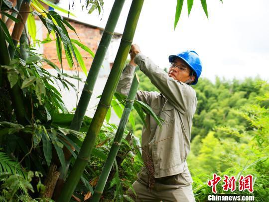 寧德臺風(fēng)最新動態(tài)，科技智能守護(hù)安全前沿