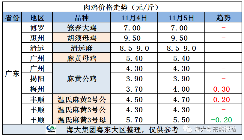 廣東雞價(jià)最新行情，心靈與自然的旅行交響曲