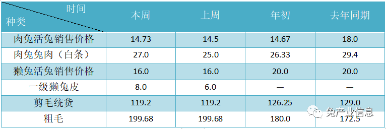 獺兔價(jià)格最新行情揭秘，溫情故事在兔子洞展開