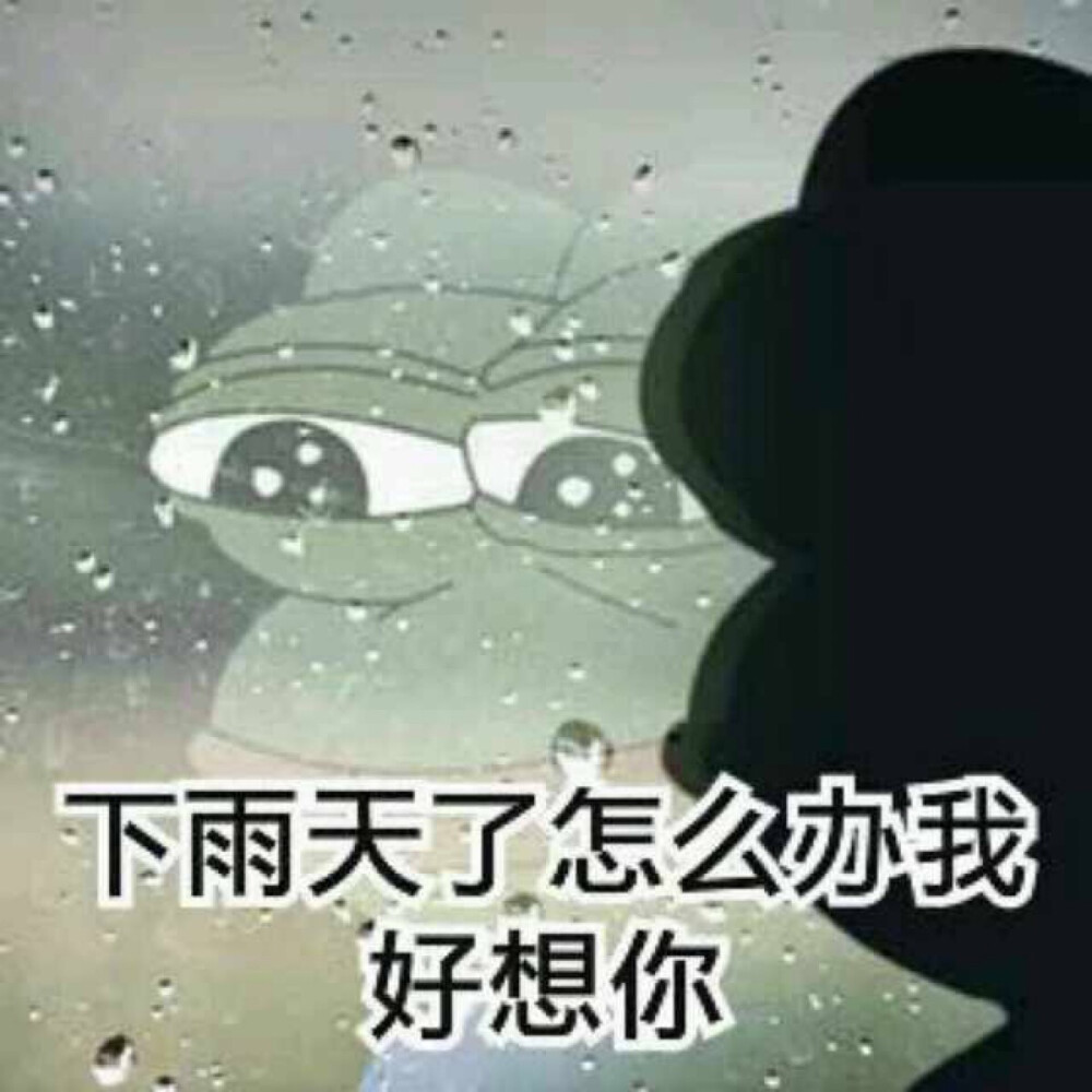 微信下雨表情包，網(wǎng)絡(luò)文化現(xiàn)象的深度探析