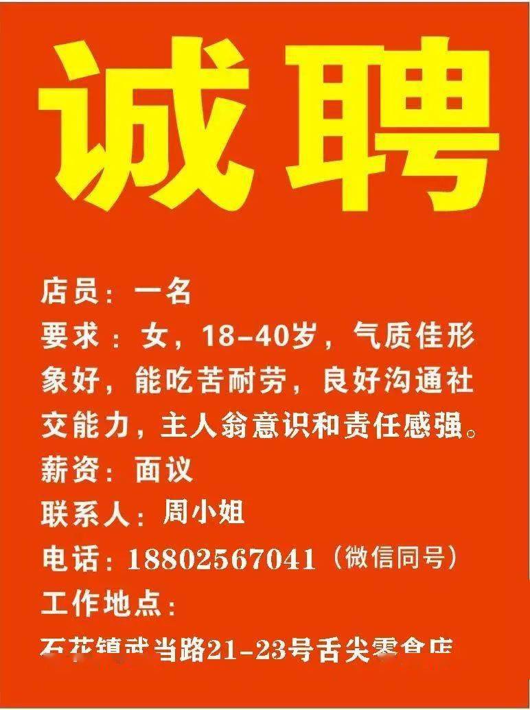 金正陽最新招聘信息發(fā)布，職位空缺及申請指南